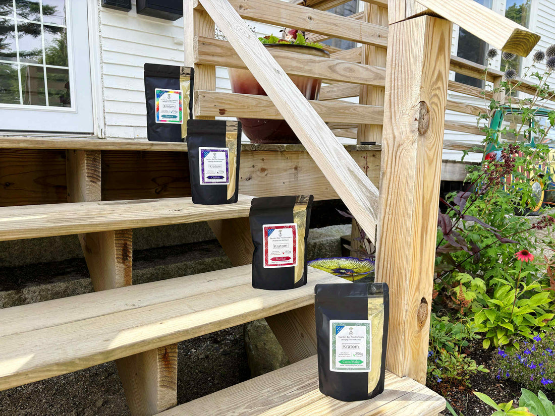 We're Back And Better Than Ever!